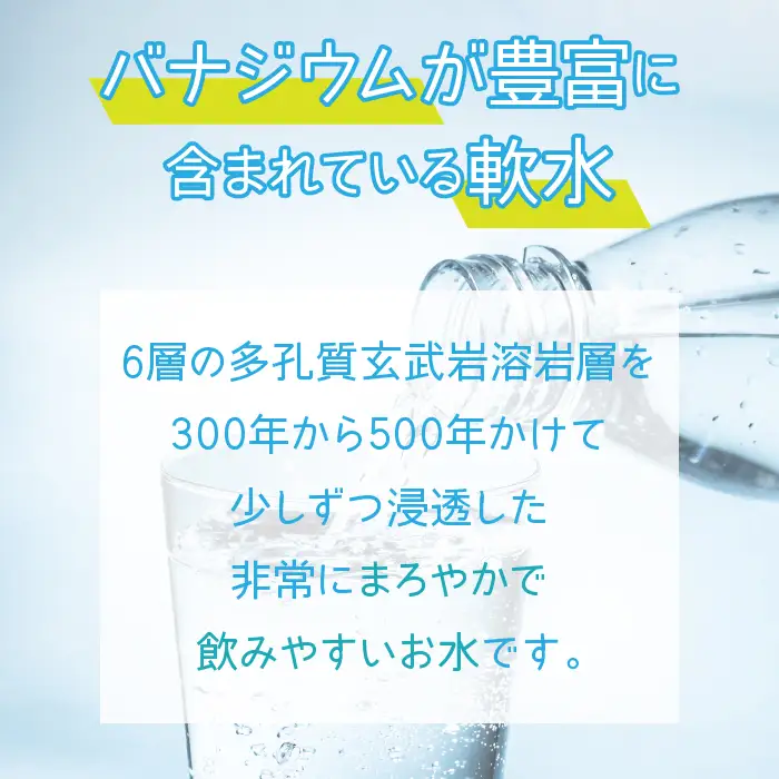★最短５営業日以内発送★鳴沢村の天然水500mL×48本(鳴沢村産天然水) NSC003 |  水 ミネラルウォーター ペットボトル水 天然水 アウトドア水 キャンプ水 備蓄水 防災水 常温 ランキング 山梨県 鳴沢村 |