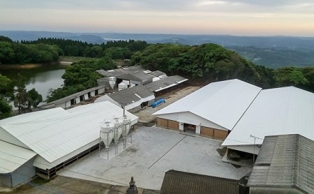 佐賀牛 サーロインステーキ 厚切り 2枚（合計520g） _d-29