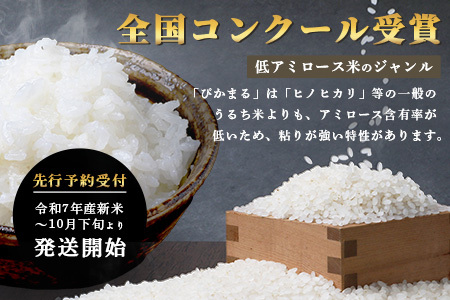 【 令和7年産米】多良木町産 ぴかまる 5kg （ 令和7年10月下旬より順次発送 ）農家が食べる お米 5キロ 甘み 米 美味しい米 米 白米 精米 熊本 065-0640
