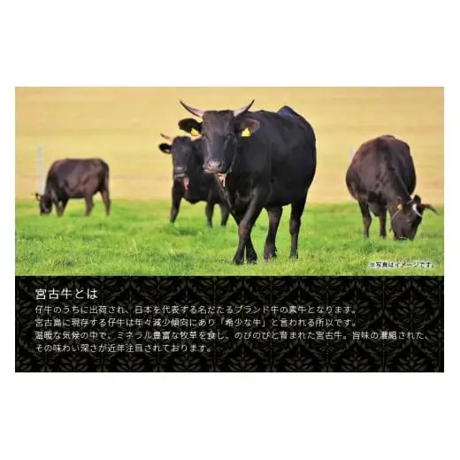 R121【定期便】【JA認定】宮古牛のカルビ焼肉・モモすきしゃぶ・特選サーロインステーキ・特選サーロインすきしゃぶ＜定期便全4回＞