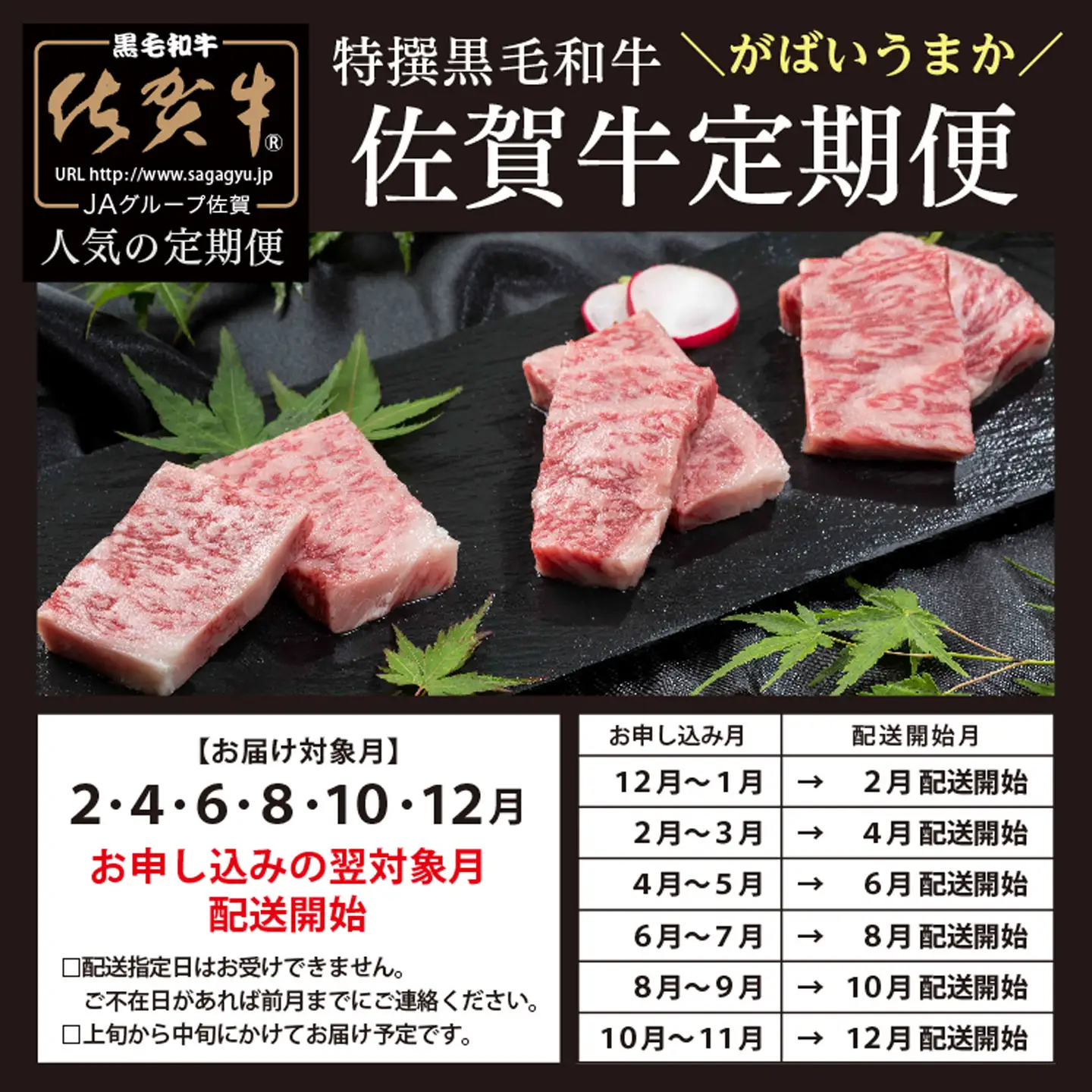 f-18【定期便6回】佐賀牛を偶数月に6回お届け 食べ比べ
