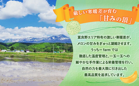 【令和8年産】【2ヵ月定期便】 富良野 高糖度 赤肉メロン 2玉×2箱 2回 お届け 約1.8kg ～ 2.3kg うっちーfarm 北海道 メロン フルーツ 果物 デザート上富良野産