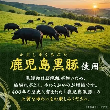 【毎月定期便】鹿児島県産黒豚 ほどける 黒豚の角煮【約200g×3P】EE0-0007全4回_惣菜・加工品     定期便 定期便  _【配送不可地域：離島】【4064754】