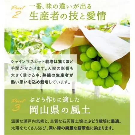 岡山県産 シャインマスカット『晴王』3～5房 (約2kg)【配送不可地域：離島】【1546681】