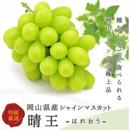 【2026年発送】ぶどう詰合/ニューピオーネ2房・シャインマスカット晴王2房(各1房480g以上)【配送不可地域：離島】【1546684】
