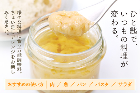 Inzai Kitchien 畑のソース「ニンニクソース」2個セット [0536]