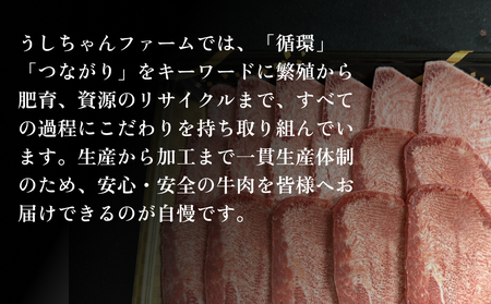 国産 牛たんスライス 約500g 宮城県産 牛タン