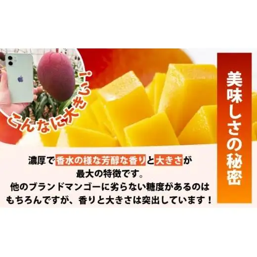 石垣島産完熟マンゴー！大満足の４個入り