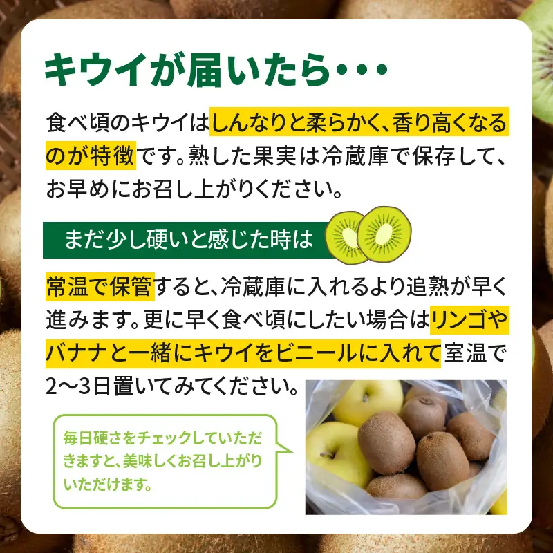 【先行受付：2026年11月頃発送開始】福岡限定品種キウイ「甘うぃ」約1.3～1.5kg <配送不可地域：北海道・沖縄・離島> 先行受付 キウイ キウイフルーツ フルーツ 果物 くだもの 甘い 高糖度 希少 オリジナル品種 新品種 新ブランド 福岡県 八女市 072-194
