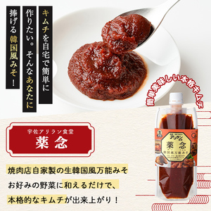 薬念 (計600g・200g×3本) 調味料 たれ タレ 万能調味料 ヤンニョム キムチ 韓国料理 鍋 麺 【107900400】【アリラン食堂】