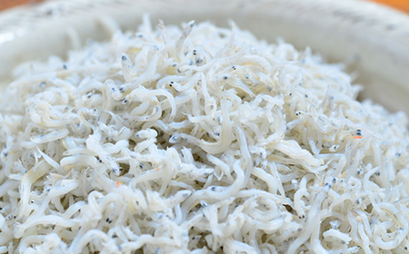 【 お試し 容量 】 ふんわりしらすちりめん 235g 少量 おためし 冷凍 冷凍便 海の幸 しらす シラス ふんわり 魚介 海産物 シーフード おかず 惣菜 食卓 グルメ お取り寄せ ギフト 夏ギフト お中元 お歳暮 贈答 包装対応 のし対応 26-51