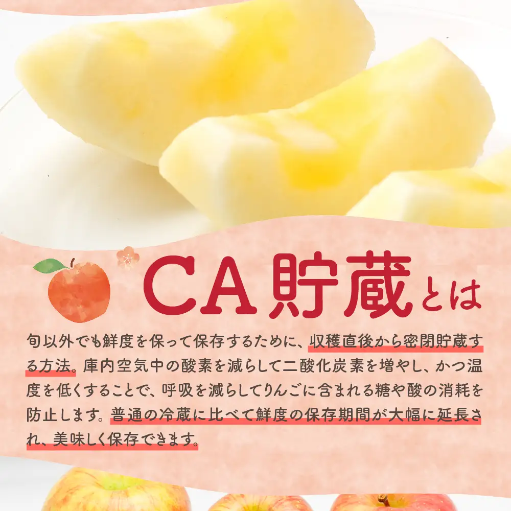 【2026年7月上旬発送】【訳あり】りんご 3kg 有袋ふじ 【スマートフレッシュTM貯蔵またはCA貯蔵・クール便】