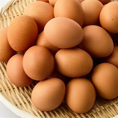 日出町産 平飼い卵30ヶ入り_卵 たまご 玉子 タマゴ 鶏卵 まとめ買い  こだわり卵  オーガニック卵 人気 美味しい_【配送不可地域：離島】【1596047】