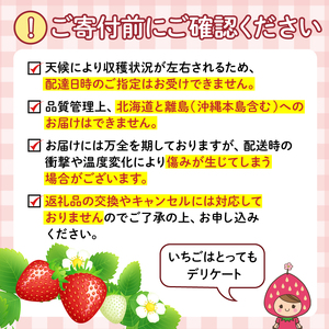 【2027年1月順次発送】訳あり いちご さちのか 5パック 計約750g~1kg イチゴ 苺