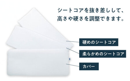 【カバーセット】エアウィーヴ ピロースリム みな実のまくら＆専用カバー[AQBV133]