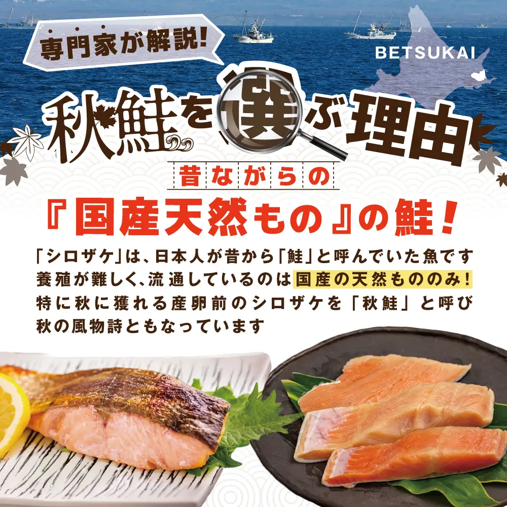【訳あり】秋鮭ドンっ！無塩 秋鮭 切り身 1.5kg【KN000PB06】北海道
