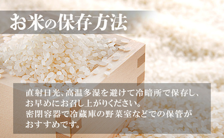 令和7年産 新潟米杜氏コシヒカリ5kg