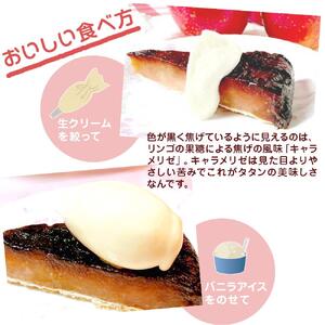 タタンおばさんのひっくり返した アップルパイ 【タルトタタン】 約18cm | スイーツ りんご 無添加 信州 長野 ご当地