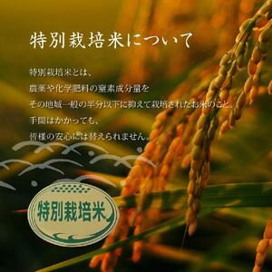 特別栽培米　稜線の風（あきたこまち） 5kg | 米 新米 長野 信州