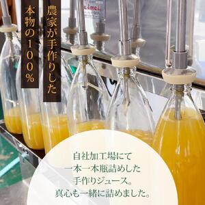 農家の手作り！果汁100%リンゴジュース（1000ml×6本) | りんご ジュース 長野 信州