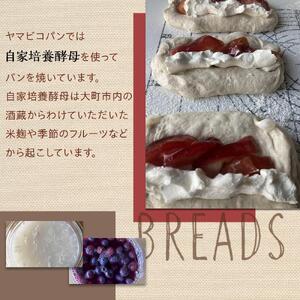 自家製酵母おたのしみパンセット80サイズ(10個前後) | パン 長野 信州