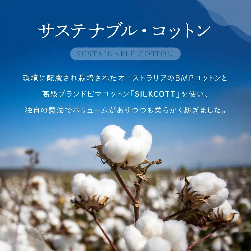 【糸から国産】信濃大町さらしなタオル (フェイスタオル)　4枚