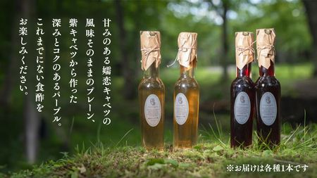 【 お中元 熨斗付】 キャベツ酢2本セット[AF024tu]