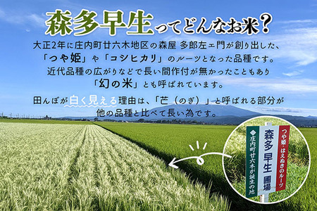 JAあまるめ 幻の米 庄内町産 森多早生100%使用 ストレートあまざけ 720ml×2本 ノンアルコール 飲む点滴 砂糖不使用 無添加 米麹 麹 発酵食品 甘酒 瓶