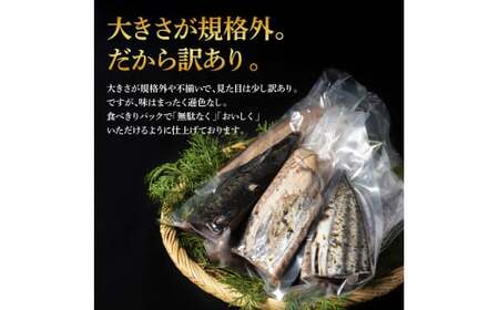★訳あり カツオたたき 1.5kg 土佐しらぎく 純米酒 純米吟醸酒 各1合(180ml)