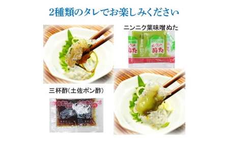 生しらす 500g(100g×5P) タレ付 土佐しらぎく 純米酒 純米吟醸酒 各1合(180ml)