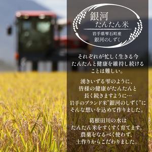 岩手県産 銀河たんたん米 銀河のしずく 玄米 10kg 2袋 【ファーム菅久】 米 お米 こめ コメ ライス ご飯 ごはん ブランド ブランド米 特A 評価 実績あり 一等米 贈り物 単一原料米 国産 特産品 仕送り お取り寄せ 産地直送 農家直送 数量限定 人気 おすすめ 20kg 20キロ