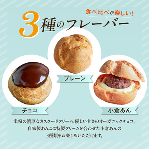 自然栽培 米粉のシュークリーム 3種 6個セット 〔Dw085〕