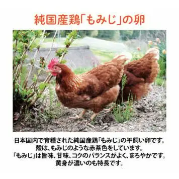 平飼い卵 もみじ  30個入り 純国産鶏 卵 AJ023  