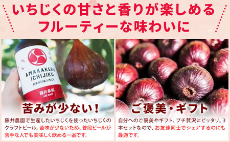 いちじくのクラフトビール 3本セット 330ml × 3本