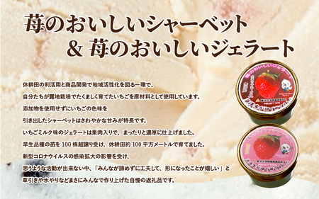PROJECT TOYO アイスクリーム 6個 セット 東洋大学附属姫路高等学校