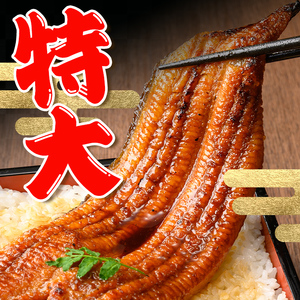 鹿児島県産 うなぎ蒲焼 特大 サイズ 3尾 （約220g×3・計約660g）【薩摩川内鰻】 i1078-B