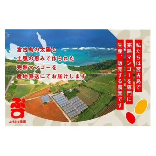 【ぷすぷす農園】＜2026年発送先行予約＞宮古島産完熟マンゴー(家庭用／2キロ／農園直送)（KY002）