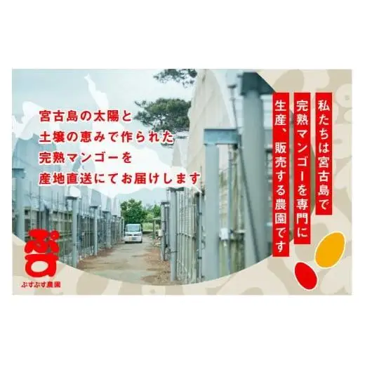 【ぷすぷす農園】＜2026年発送先行予約＞宮古島産完熟マンゴープレミアム（贈答用／2キロ／農園直送）(KY004)