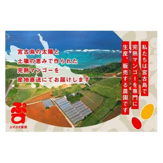 【ぷすぷす農園】＜2026年発送先行予約＞宮古島産完熟マンゴー1玉入り×2個セット（農園直送）（KY005）