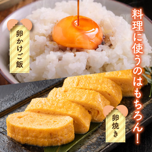 平飼い卵 なちゅら 60個 _KJF0206