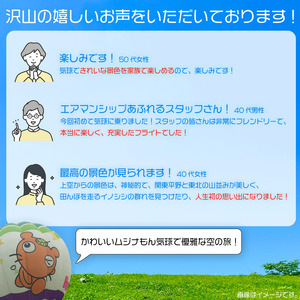 埼玉県 羽生市 熱気球 体験チケット 関東 バルーン 気球 絶景