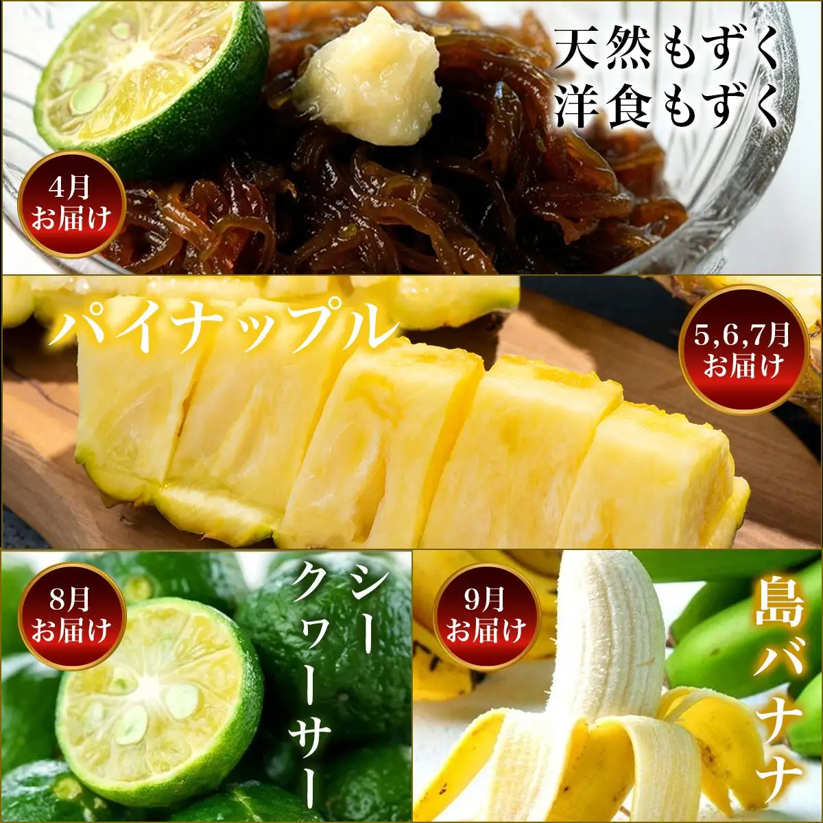 【12回定期便】石垣島の特産品 バラエティ定期便　SI-104