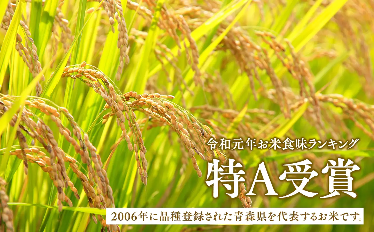 ≪令和8年産 先行予約≫10月下旬よりお届け! 青森県平川市産まっしぐら10kg(玄米)［hi-0062-014-10］