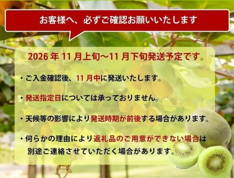＜2026年発送分・先行予約＞博多「甘うい」の贅沢果実　約3.6kg　キウイフルーツ キウイ