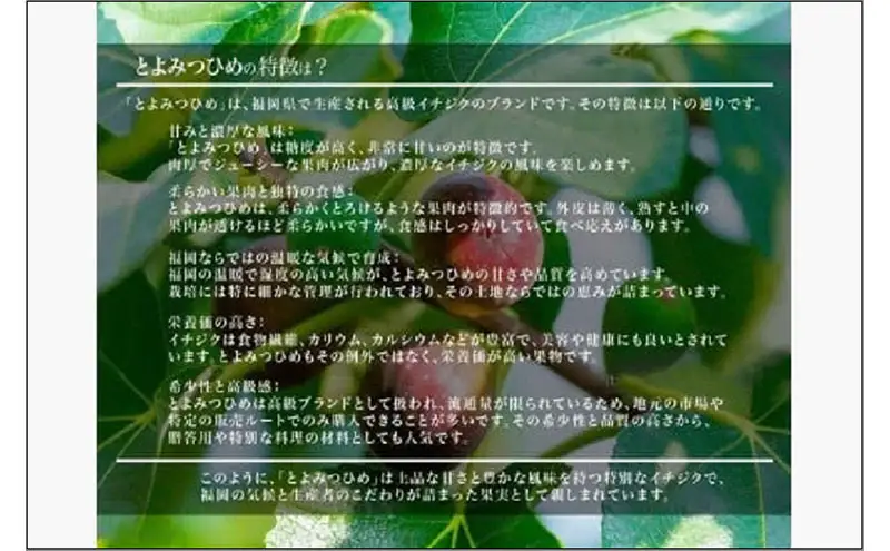 ＜2026年8月以降発送＞とよみつひめ ４パック約1200gセット（福岡市） | フルーツ 果物 くだもの 食品 人気 おすすめ 送料無料