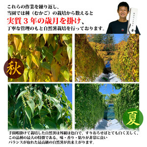 【R8年12月上旬からの発送】自然薯 3kg丁子屋が選んだ 自然薯