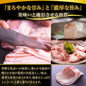 No.1236 高級かごしま黒豚！黒宝豚餃子(計960g・320g×3P) 国産 九州産 鹿児島県産 餃子 ぎょうざ ギョウザ 冷凍 黒豚 豚肉 お肉 おかず 惣菜 贈答 プレゼント 贈り物【西酒造】