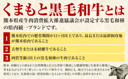 【A4～A5】くまもと 黒毛和牛 しゃぶしゃぶ すき焼き用（肩ロース肉・肩バラ肉・モモ肉）500g 《30日以内に出荷予定(土日祝除く)》熊本県 大津町 黒毛和牛 肉 お肉 和牛 A5 A4