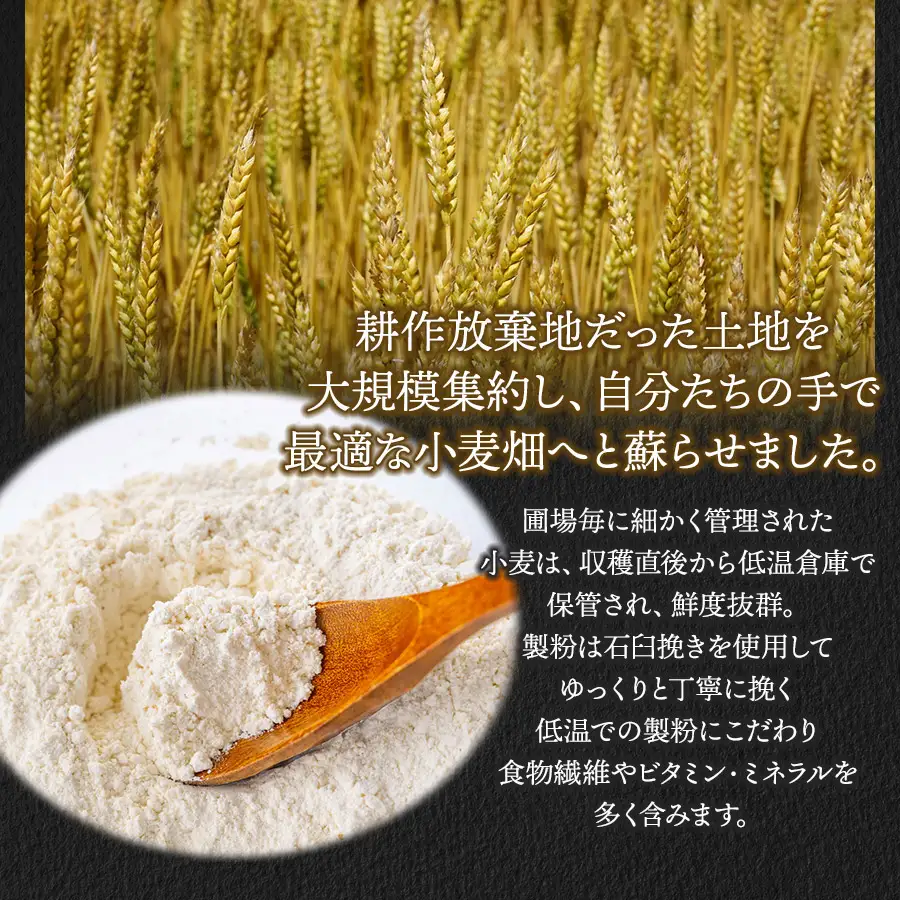 月山の粉雪そうめん　90g×2束×2袋　アインテック株式会社