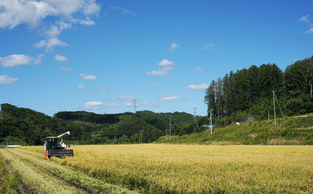 【お米定期便】特Aランクななつぼし10kg×6ヶ月（精米）北海道米 栗山町産